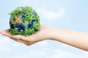 accion climatica